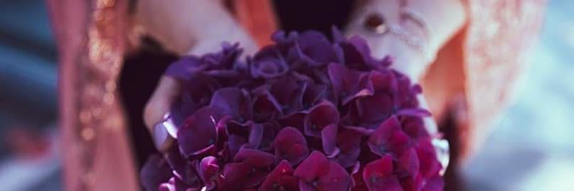 LisaMullions's profile banner image