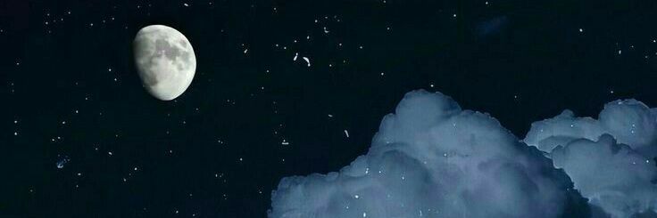 marivahsdr's profile banner image