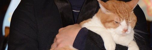 o_____o47's profile banner image