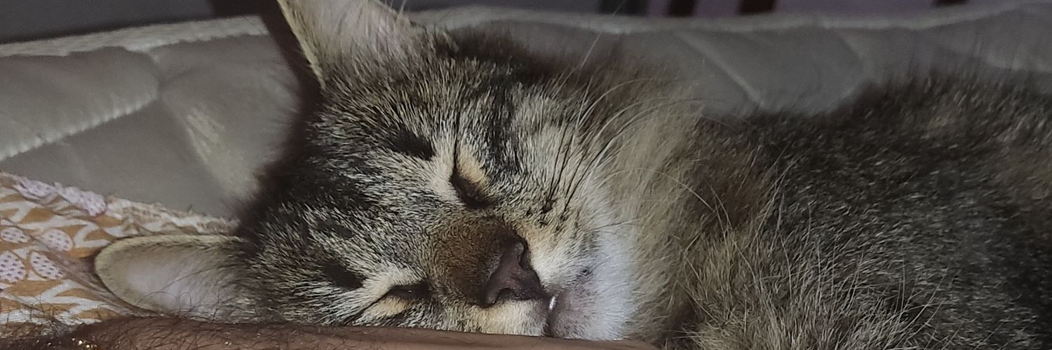LeoSargentinii's profile banner image