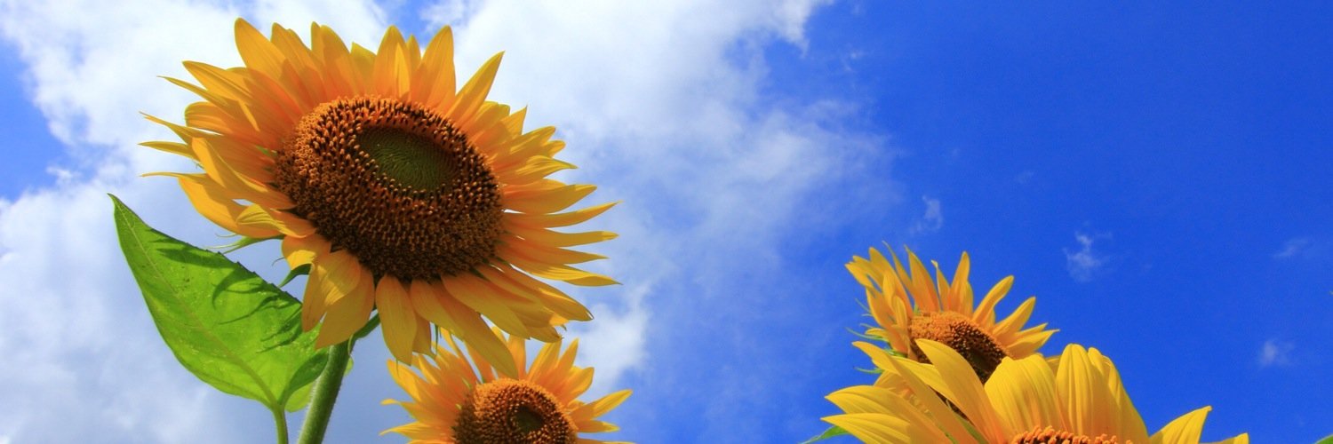 mo_h1218's profile banner image