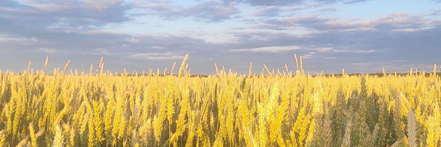 хтознахто... banner