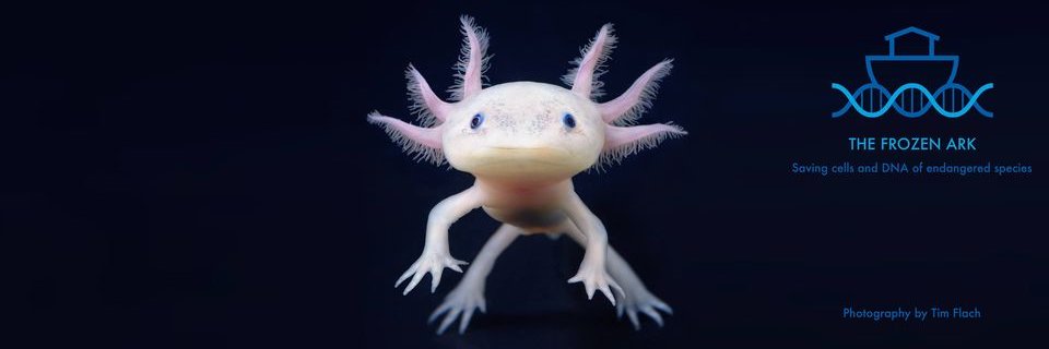 The Frozen Ark Project banner