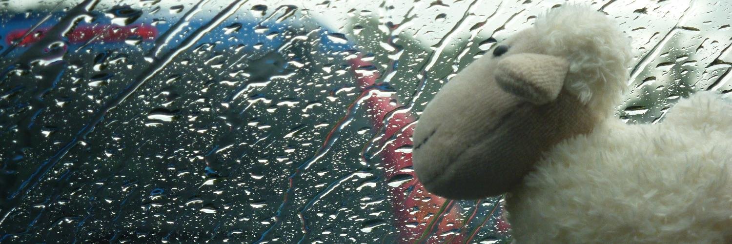 EvilBlowfish's profile banner image