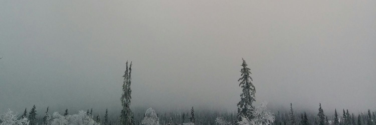 davidbernson's profile banner image