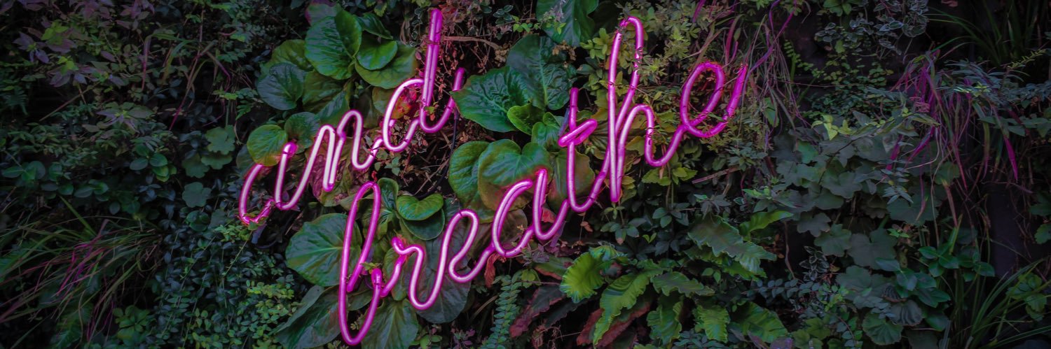 gemguscott's profile banner image