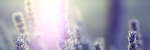 jupijus's profile banner image