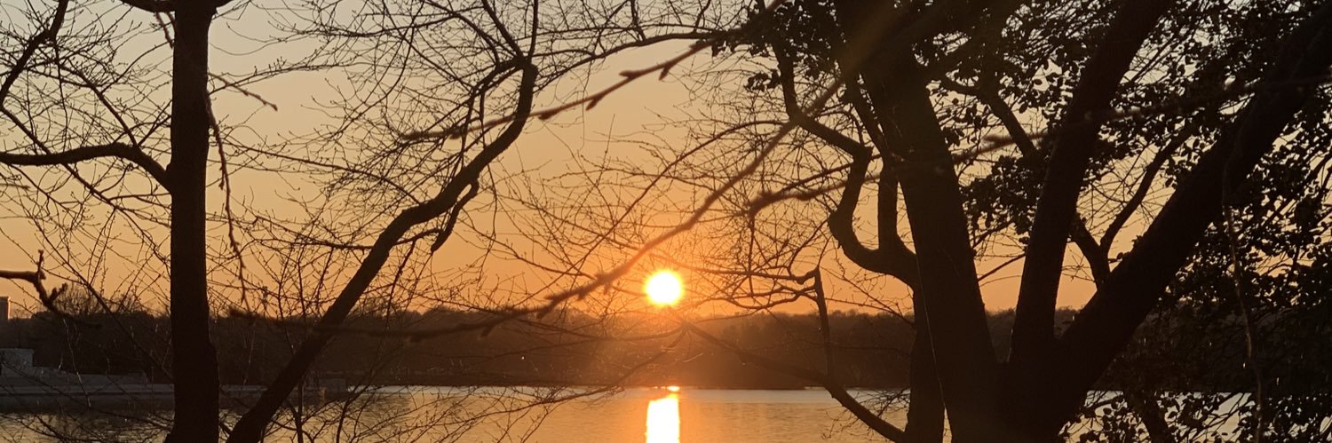 Elenakefi's profile banner image