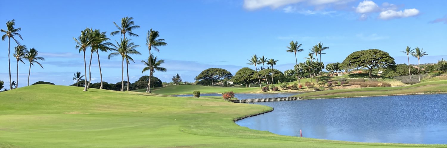 Tyler Hembree banner