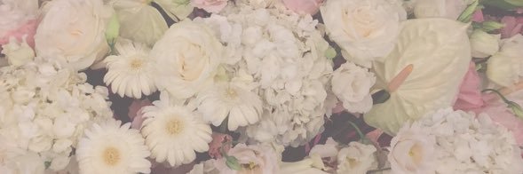 wa_chan378's profile banner image