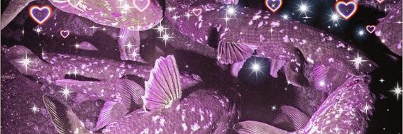 podsolfairy's profile banner image
