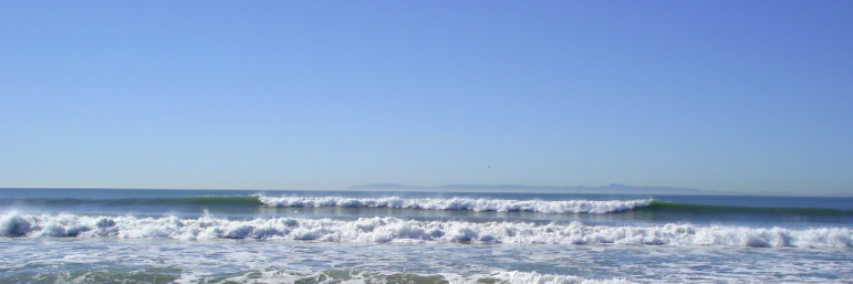 Catalina Garcia banner