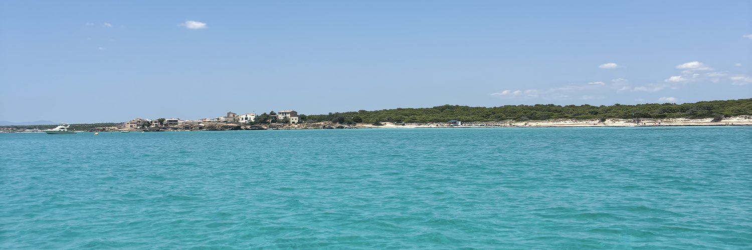 Carlos López banner