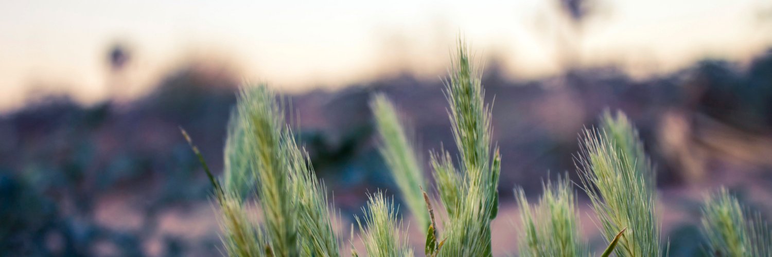 fasstarie's profile banner image