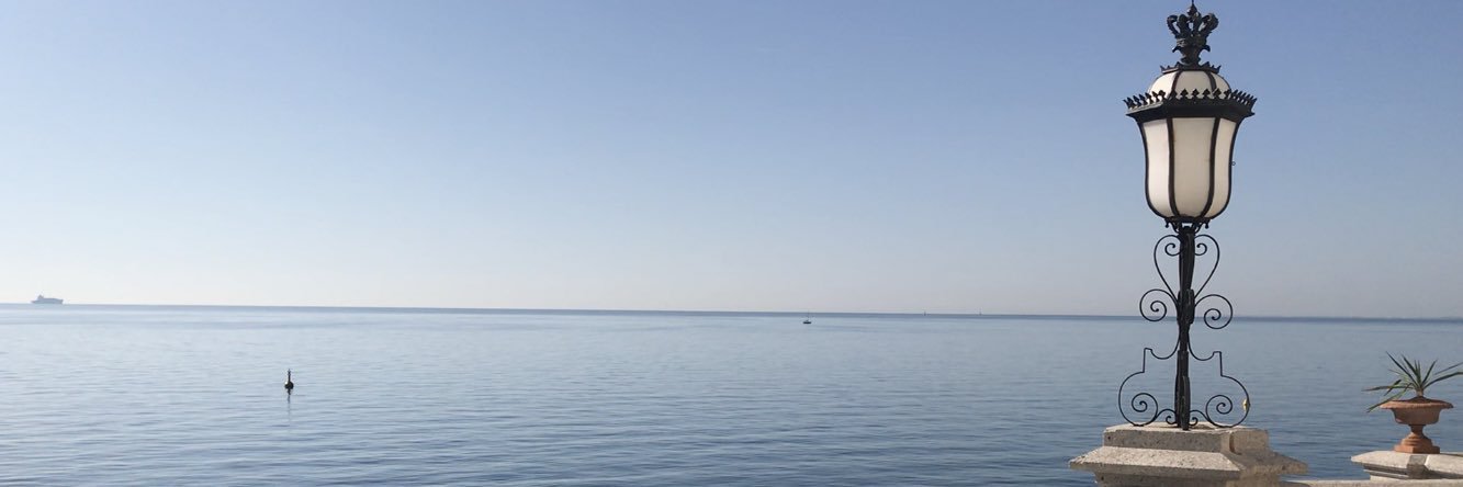 MonicaInVenice's profile banner image