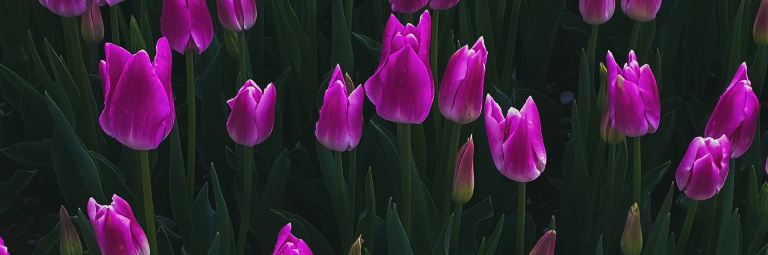 ebruuusymz's profile banner image
