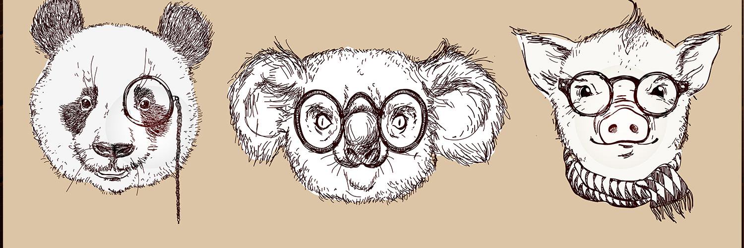 Nikoala_DW's profile banner image