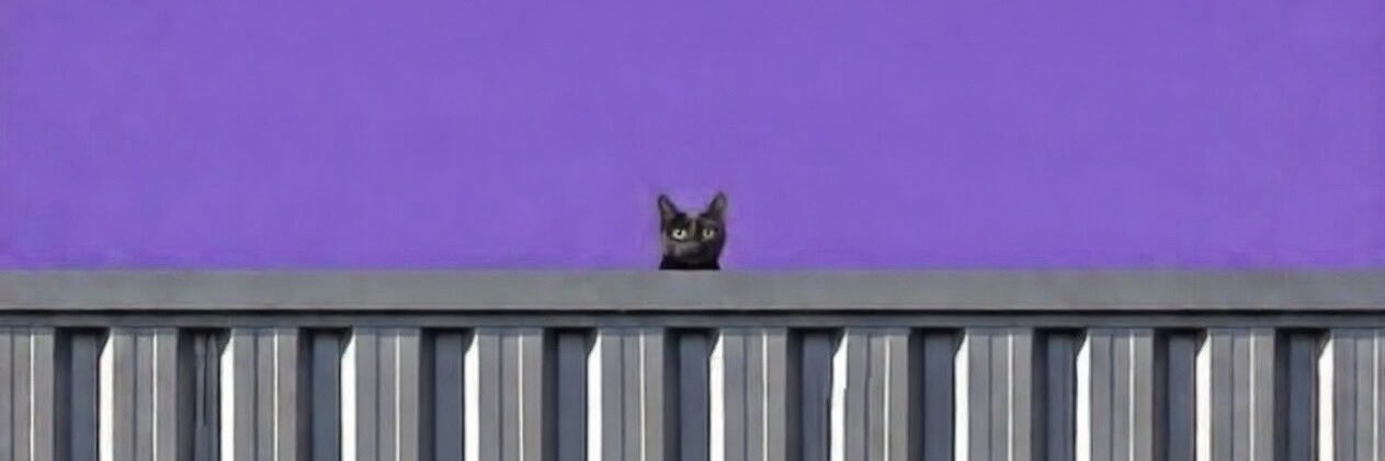 Rachel of The Clitterati 🦖💚🤍💜🖤 banner