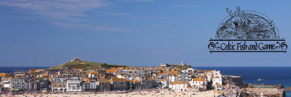 Celtic Fish & Game banner