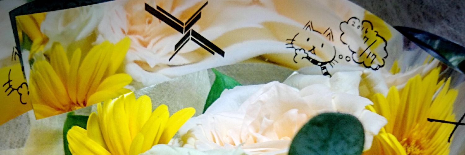 shaaaorinu's profile banner image