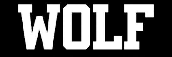 Kotkuuu's profile banner image