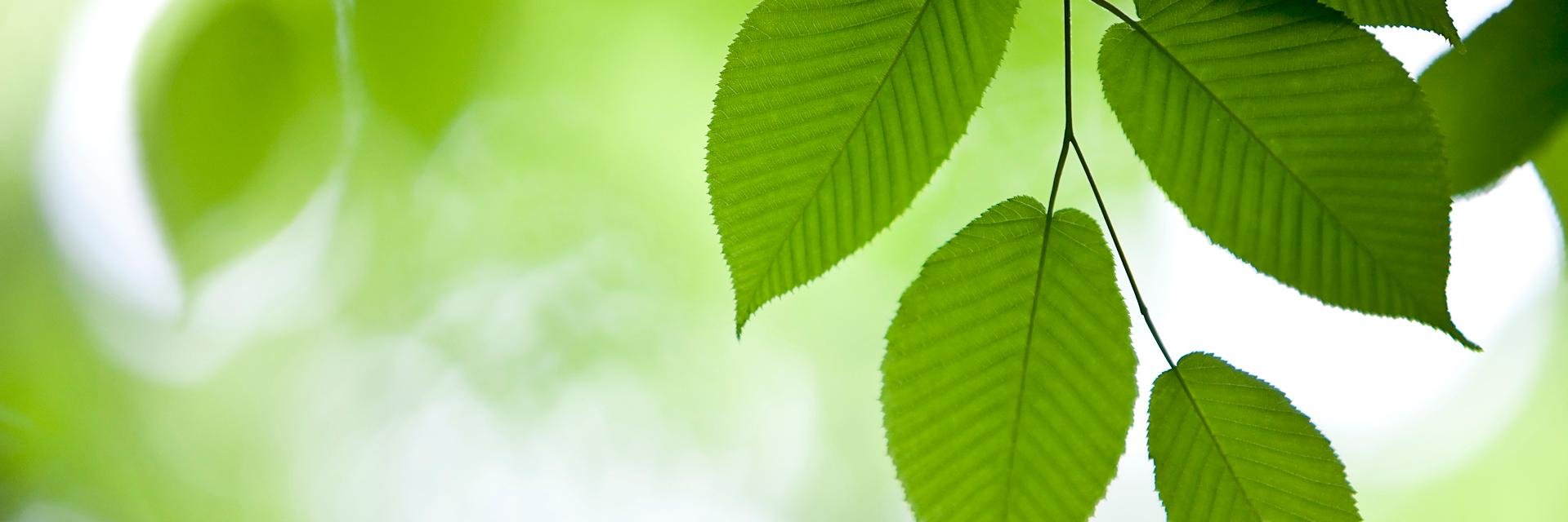 huseen_95's profile banner image