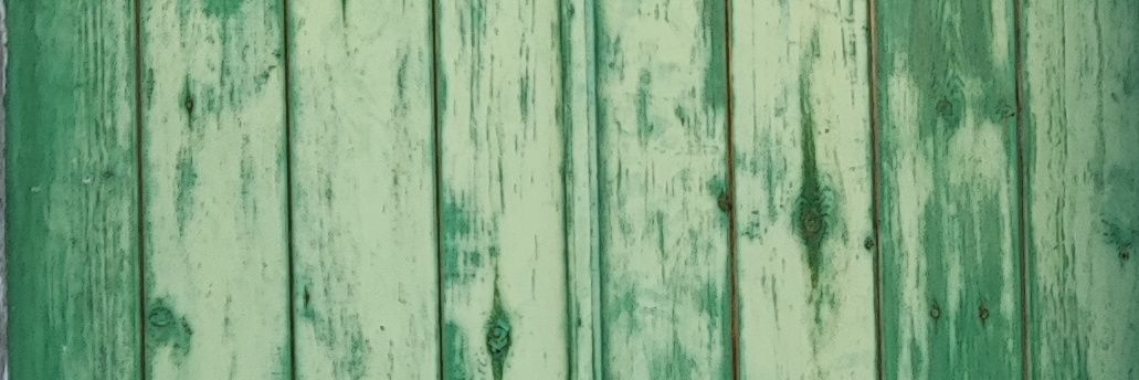 Fran N ☀️ banner