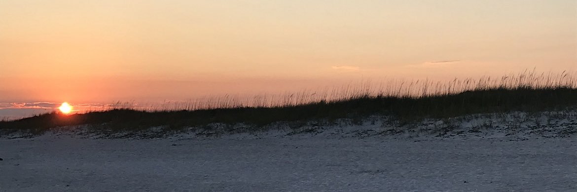 maggiemccarthy's profile banner image
