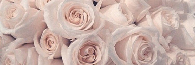 danaa34_'s profile banner image