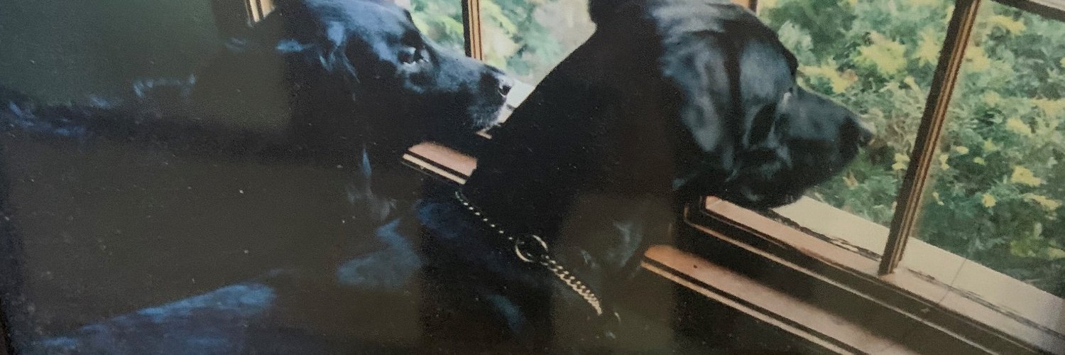 PMIA7's profile banner image