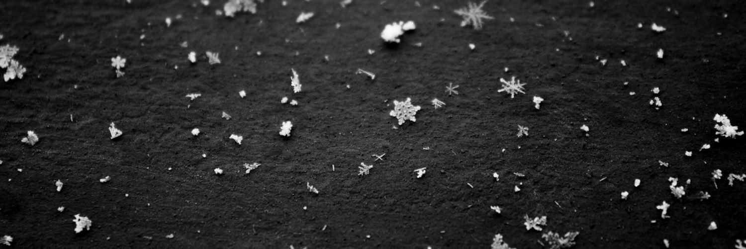 QweenOle's profile banner image
