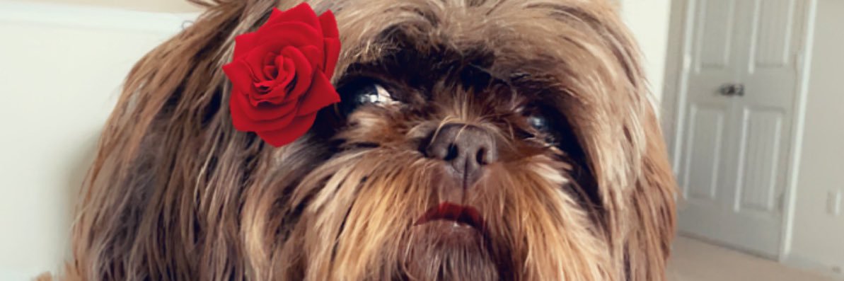 kenyaooh's profile banner image