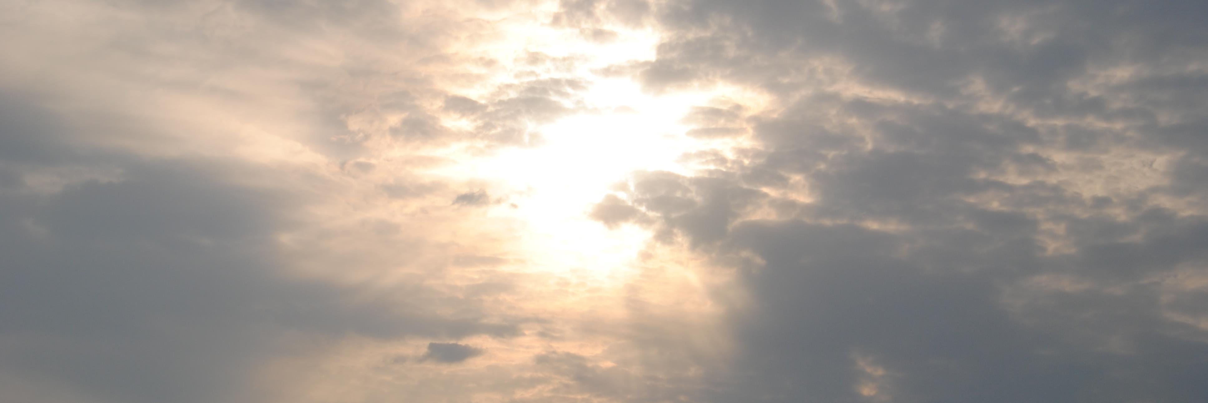 chasingdawn2021's profile banner image