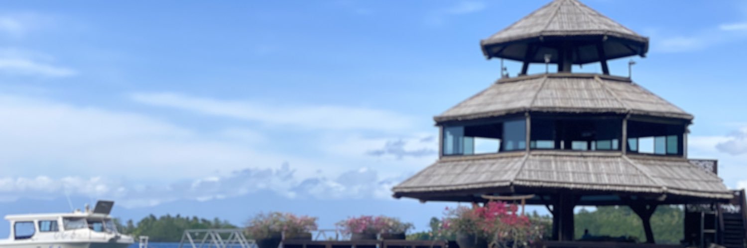 papsieP's profile banner image