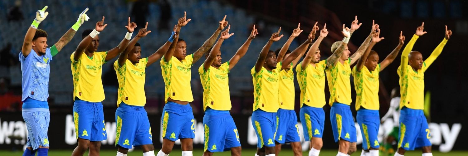 T🇿🇦🇵🇸🇨🇩🇸🇩 banner