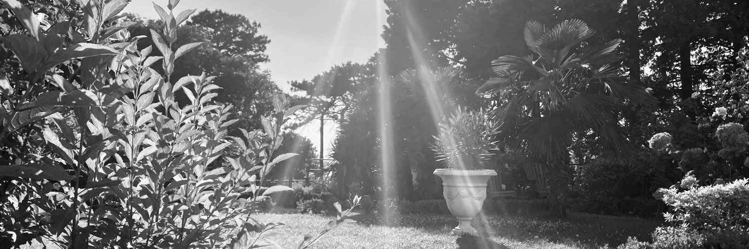 padox123's profile banner image