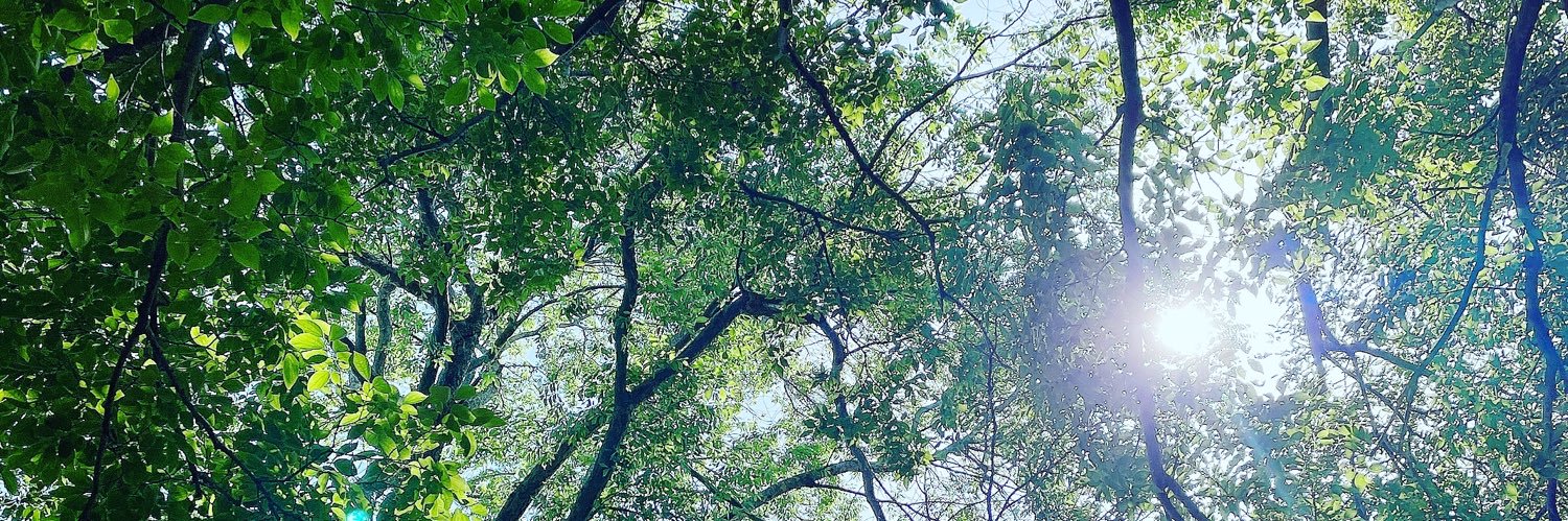 miyacham61's profile banner image