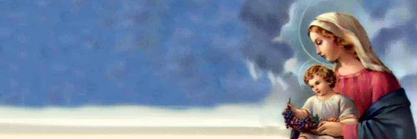 ZeldaAGabriel Profile Banner