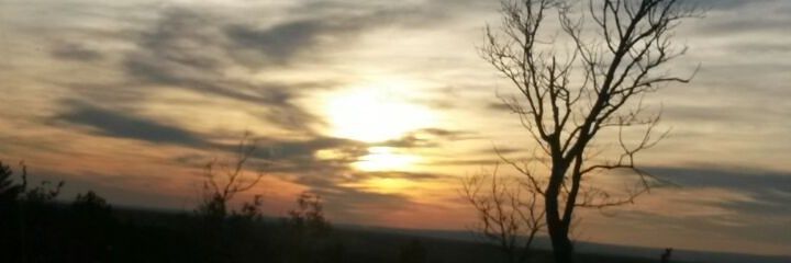 ri495's profile banner image