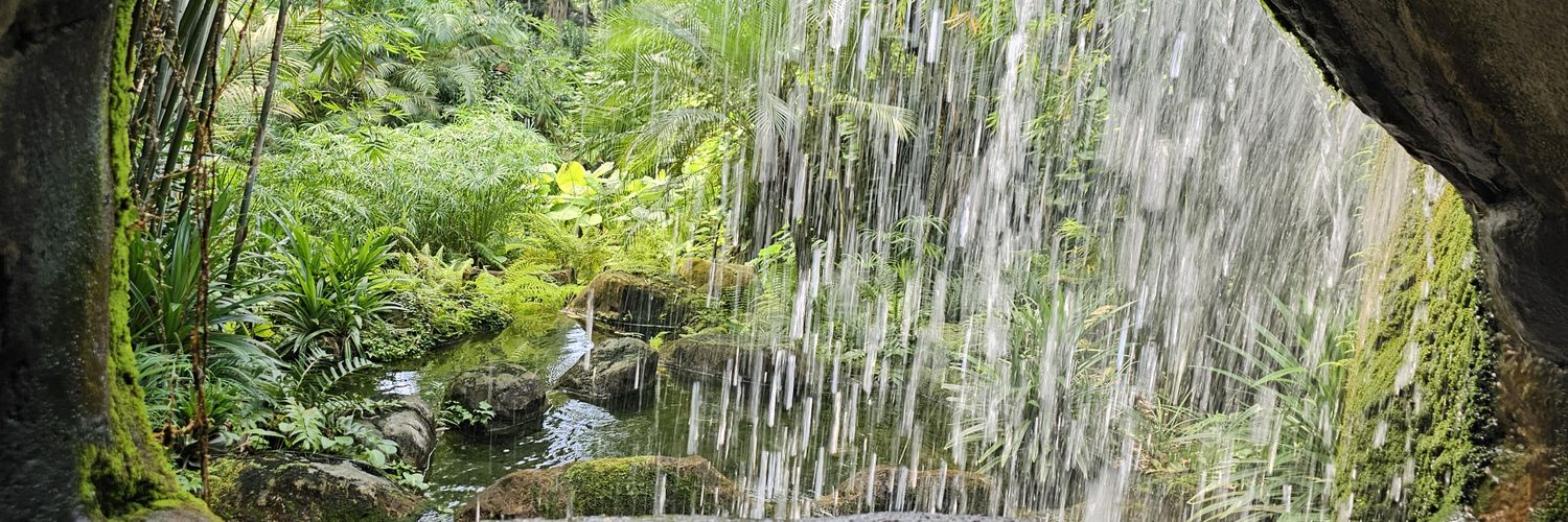 Susi 🧚‍♂️ banner