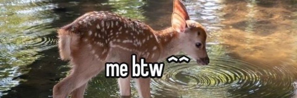 lisdu_'s profile banner image