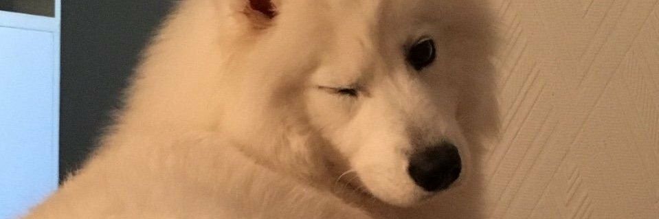 vicen98bm's profile banner image