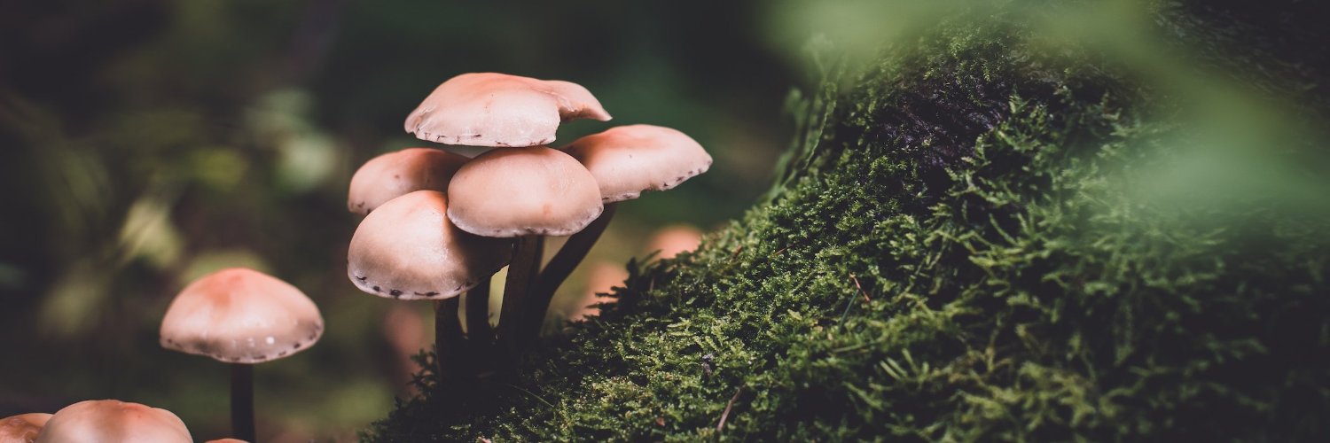 The Psychedelic Society banner