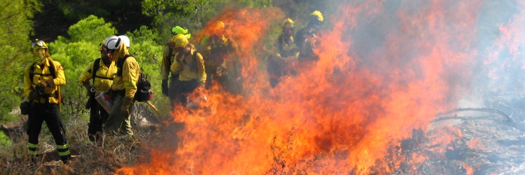Juan Caamaño banner