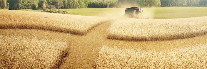 Thomas_Isaksson's profile banner image