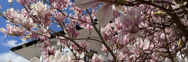 _molian Profile Banner