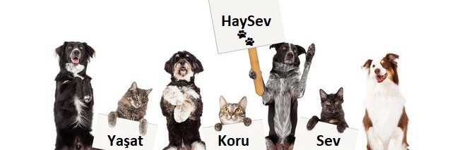 HAYSEV's banner