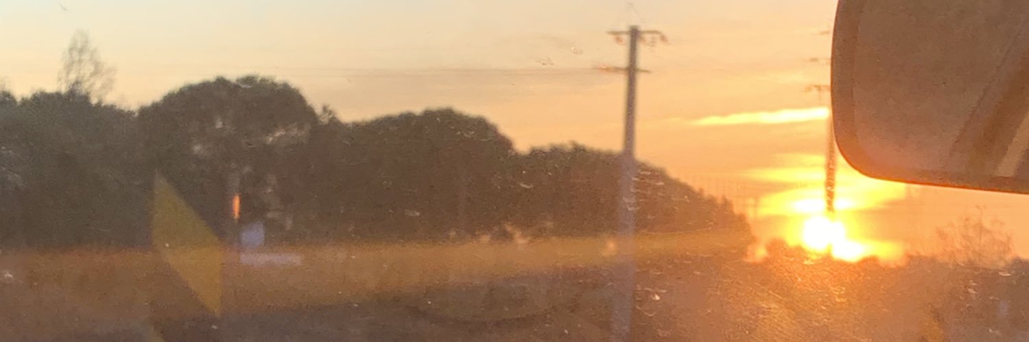 anittapiires's profile banner image
