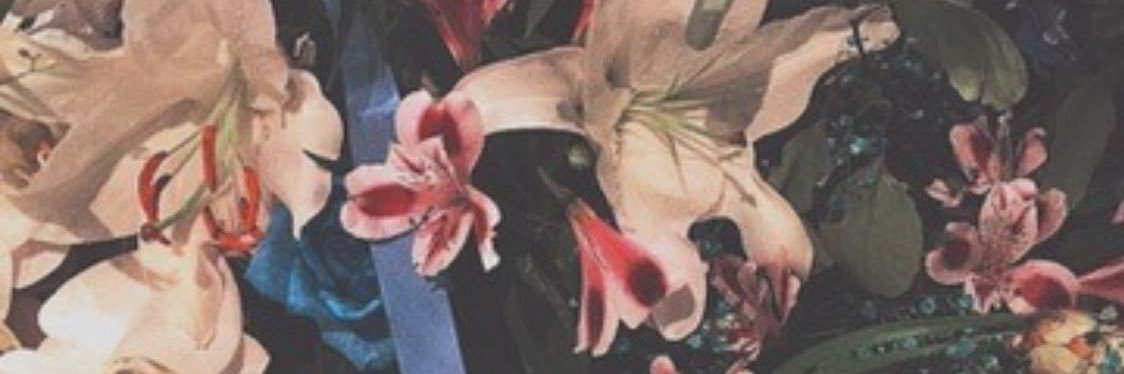 sleepspindlex's profile banner image