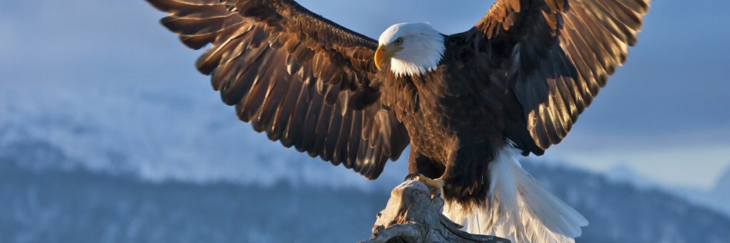 dontae2355's profile banner image